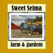 the Farm